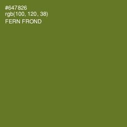 #647826 - Fern Frond Color Image